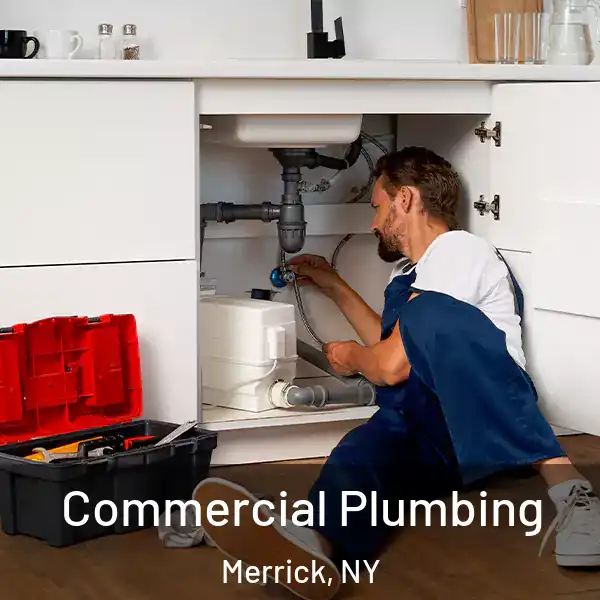  Commercial Plumbing Merrick, NY