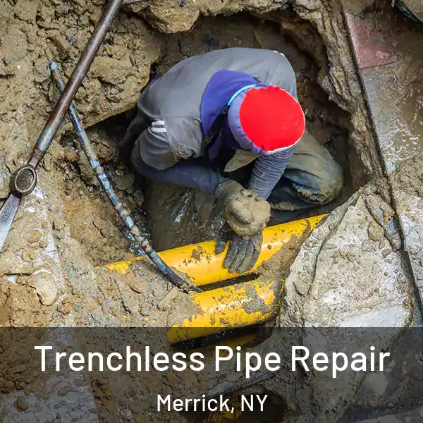  Trenchless Pipe Repair Merrick, NY